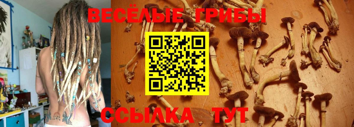 Псилоцибиновые грибы Magic Shrooms  Псилоцибиновые грибы Psilocybe  Вход с VPN  Можайск 