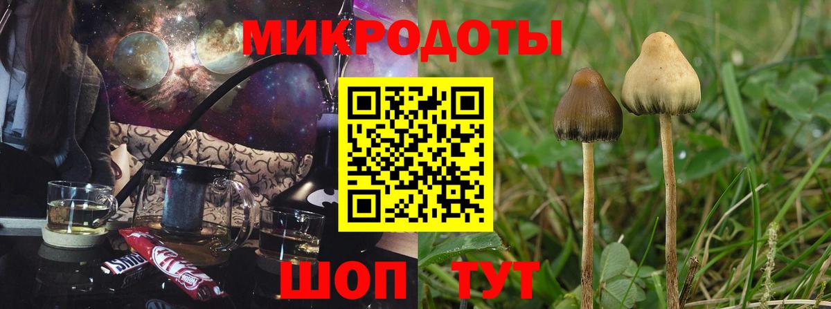 Псилоцибиновые грибы мухоморы Можайск